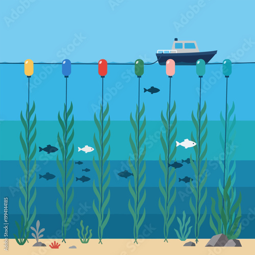 Boat floats and underwater plants in the ocean