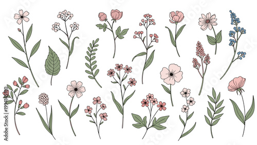 Collection of hand drawn wildflowers and botanical elements in soft pink and blue tones, suitable for delicate nature inspired designs.