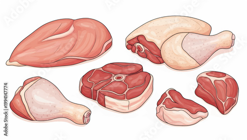 Assorted Raw Meat Cuts on White Background.