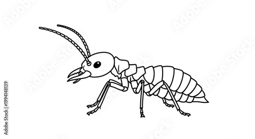 Black and white line drawing of a termite insect