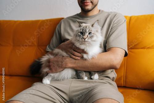 Canvas Print Cute neva masquerade cat resting comfortably on male owner lap, sitting on orange sofa, sharing tranquil moment of companionship and coziness in home domestic setting