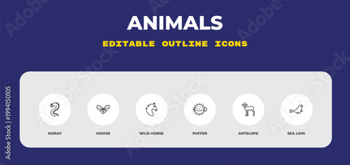 outline animals icons set - moray, moose, wild horse. editable vector for web and mobile ui