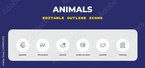 outline animals icons set - squirrel, polar bear, walrus. editable vector for web and mobile ui