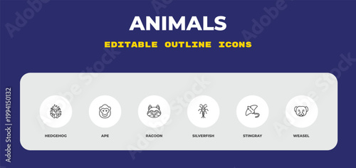 outline animals icons set - hedgehog, ape, racoon. editable vector for web and mobile ui