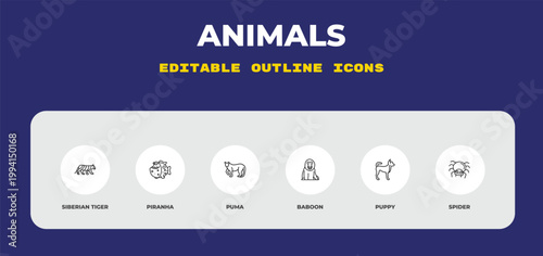 outline animals icons set - siberian tiger, piranha, puma. editable vector for web and mobile ui