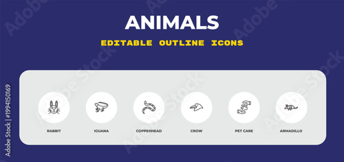 outline animals icons set - rabbit, iguana, copperhead. editable vector for web and mobile ui