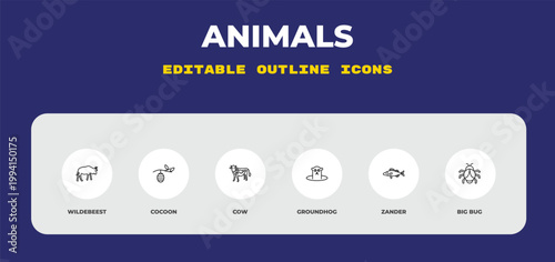 outline animals icons set - wildebeest, cocoon, cow. editable vector for web and mobile ui