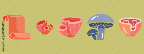 Assortment of colorful, stylized fungi and a rolled scroll on a neutral background