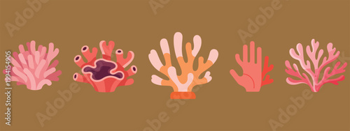 Collection of diverse coral types in shades of pink and orange on a brown background