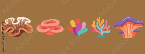 Collection of colorful illustrations of different types of coral