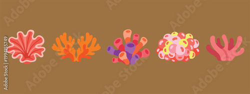 Vibrant Underwater Coral Collection Displayed on a Plain Brown Background
