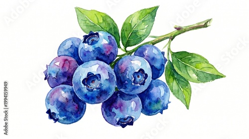 A fresh blueberry clipart, fruit element, watercolor illustration, vibrant colors, isolated on white background