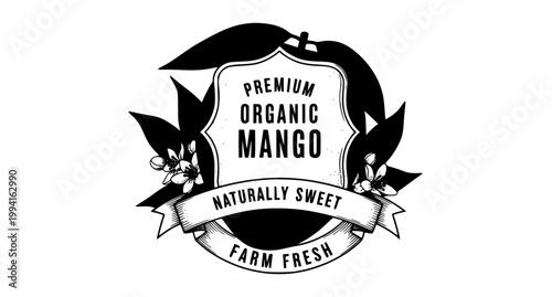 Hand drawn mango fruit sketch banner vintage retro packaging vector illustration isolated on white background