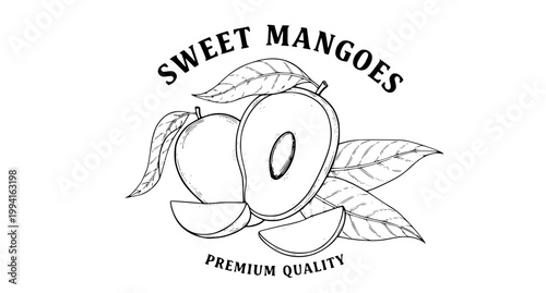 Organic mango fruit hand drawn retro badge packaging vector illustration isolated on white background
