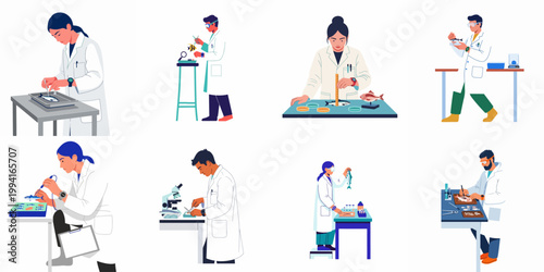 Photos Set of male and female scientists in lab coats researching fish, performing dissections, and measuring specimens in a marine biology laboratory