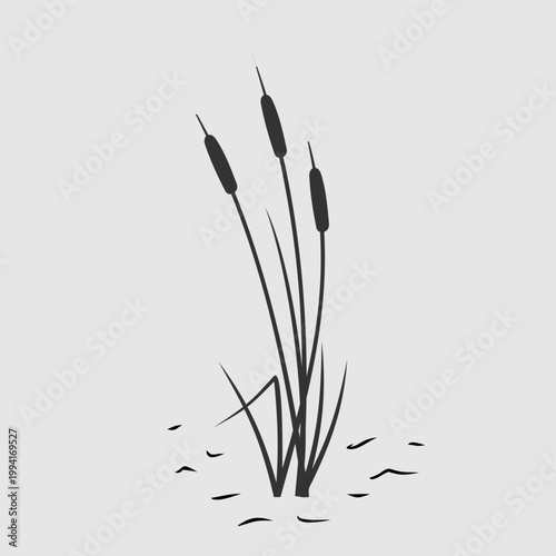 Minimal Reeds and Cattails Nature Vector Illustration