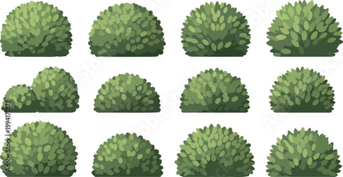 https://chatgpt.com/c/69e11756-e0a8-8322-ab54-88185fdb2525#:~:text=Realistic%20Garden%20Shrub%20Collection%20Landscaping%20Vector%20Set