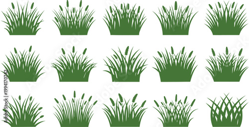 Green Reeds and Grass Silhouettes Collection vector (13