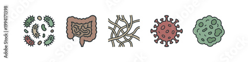 Colored Biological Icons Set for Science and Medical Education
