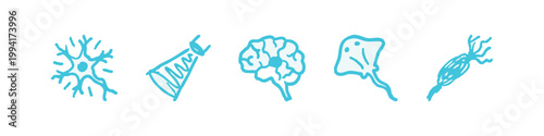 Turquoise icons of neuron, cone, brain, stingray, and seed pod
