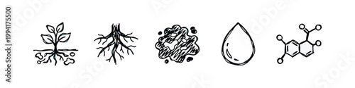 Drawn icons: plant roots in soil, plant roots, soil clump, water drop, chemical molecule.