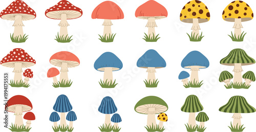 Mushroom Collection with Various Wild Fungi Species, Colorful Toadstools, Forest Plants, and Botanical Elements for Nature Illustration, Autumn Design, and Educational Graphics