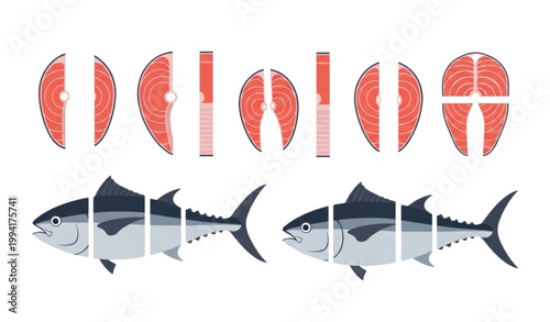 Salmon and tuna fish illustrations a comparative visual representation
