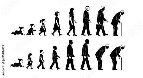 Human evolution from baby to old.