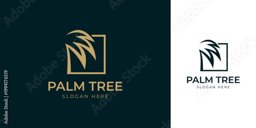 Elegant Minimalist Palm Tree Inside Square Frame Logo Design Template
