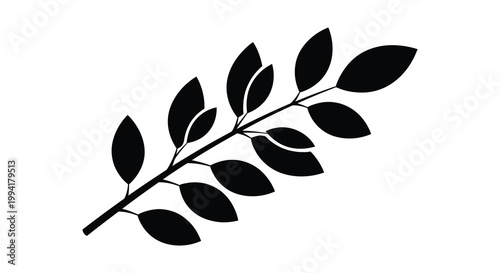 A simple depiction of a leafy branch with several oval shaped leaves presented as a striking silhouette high quality