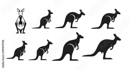 Stylized kangaroo vector set front and side view with silhouette modern animal design collection