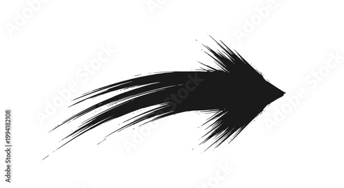 Black fly fishing lure closeup.