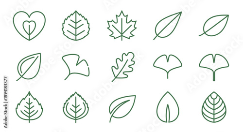 Collection of various leaf shapes.
