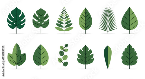 Collection of various green leaf types.