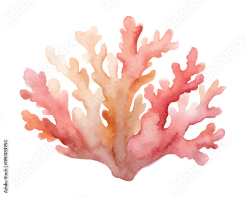 Watercolor Coral Reef Icon, Ocean Nature Clipart, illustration Isolated on White background