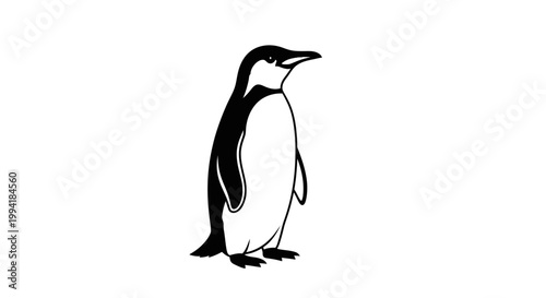 Emperor penguin standing isolated, black and white bird vector illustration.