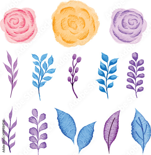 Watercolor floral elements and botanical illustrations for design and decoration