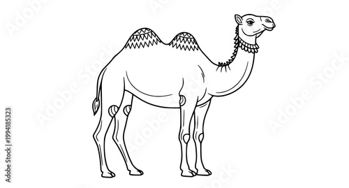 Charming black and white illustration of a camel standing gracefully a detailed line art depiction for coloring pages and educational purposes
