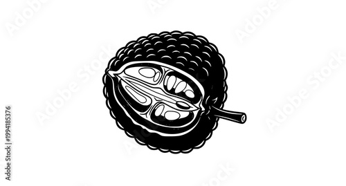 Detailed black and white illustration of a soursop fruit cut in half revealing its internal structure and texture