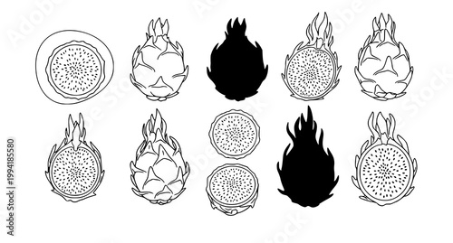 Dragon fruit illustrations a collection of black and white line art depicting various views and stages