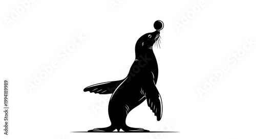 Sea Lion Balancing Ball Vector Illustration Silhouette