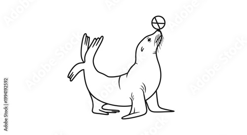 "Vector line art illustration of a sea lion balancing a ball on its nose. Circus performance or marine animal show concept isolated on white background."