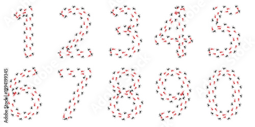 Cuadro en lienzo Red Ant Colony Numbers 1 to 0 Formed by Marching Ants isolated on transparent Ba
