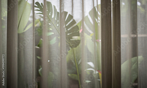Soft silhouette of tropical leaves behind translucent curtain  Generative AI