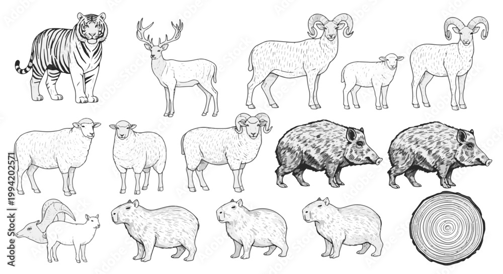 Fototapeta premium Animal Drawing Set Featuring Tiger Deer Rams Capybaras and Boar in Sketch Style