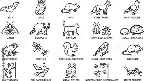 Night urban wildlife vector icons set, black line nocturnal animals icons, bats, owls, foxes, rats, moths, raccoons, insects CAD style