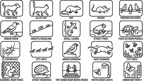 Street wildlife vector icons set, urban sidewalk animals black thick line icons, dogs, cats, rats, pigeons, insects, birds CAD style