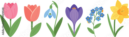 Spring flowers collection with tulip crocus daffodil and bluebell flat vector illustration