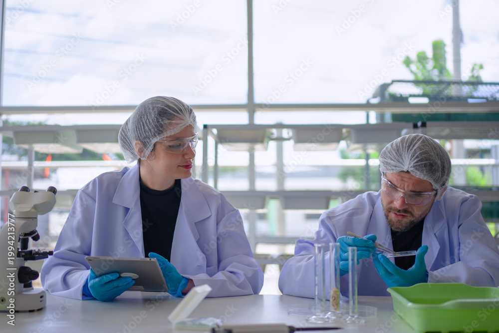 Obraz premium Scientists are working at vegetable production greenhouse.