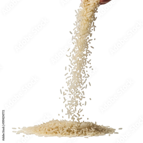 Golden rice grains pouring from stalk vector illustration flat design